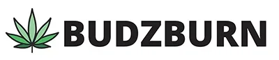 Budzburn logo
