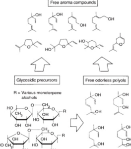 terpene profile and aromatic presence