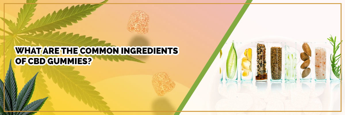image of page banner cbd gummies ingredients