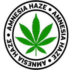 image of amnesia haze strain