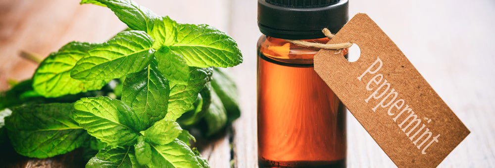 image of peppermint oil