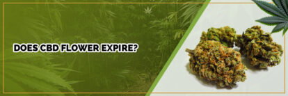 image of page banner does cbd flower expire