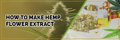 banner of how to make hemp flower extract