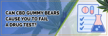 banner of can cbd gummy bears cause you fail a drug test