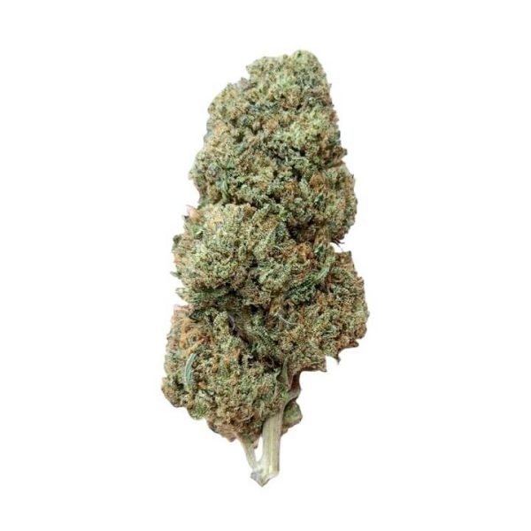 a single bud of Critical Berries cbd bud on a white background. the flower is neatly trimmed and looks to be of high quality